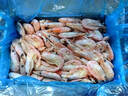 美加佳头籽熟冻北极甜虾净重3斤 规格80/100 头籽率50% 熟冻 海鲜水产 实拍图