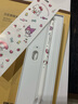 倍思电容笔iPad苹果笔【三丽鸥假日家族】适用25年Pro/Air/Mini/iPad11平板触控手写笔磁吸applepencil 实拍图