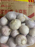京鲜生家美舒达 山东 独蒜 独头蒜 大蒜 1斤 新鲜蔬菜 实拍图