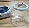 LOTOR养生壶迷你煮茶器烧水花茶恒温一体电热水壶办公室全玻璃炖煮茶炉煎中药小型养生杯一人 【低音慢煮】全玻璃壶身 1L 实拍图
