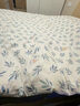 雅鹿·自由自在纯棉四件套床上用品100%全棉被套200x230cm枕套床单1.5/1.8米床4件套 花花熊 实拍图