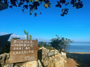 蓓安适一次性四件套酒店双人隔脏加厚旅行床单被套罩枕套床上用品套装 实拍图