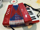 NEW CLASSIC TOYS儿童手风琴初学乐器玩具 早教音乐启蒙玩具可弹奏男女孩生日礼物 大号红色 17键8贝斯【6岁以上】 荷兰品牌 3-6岁益智玩具 春节新年礼物 实拍图