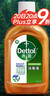 滴露（Dettol）消毒液250ml 衣物消毒水家居室内环境地板消毒 衣物除菌剂松木香 实拍图