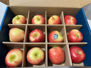 京鲜生 新西兰Dazzle丹烁苹果12粒特级果单果130-170g 生鲜水果礼盒 实拍图