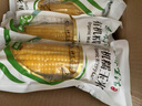 素养生活 有机糯玉米4.16斤 8穗装东北黄糯玉米软糯鲜食玉米棒 实拍图