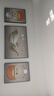 Sixpoetry 客厅装饰画现代简约沙发背景墙壁画轻奢三联晶瓷画大气高档挂画 福禄生花（铝合金外框） 晶瓷画左右60*80+中间120*80亮面 实拍图