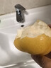 史丹利中号陶粒垫底小陶粒土养花专用多肉花用铺面花盆花卉种花园艺5L 实拍图