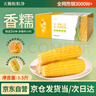 天勤粒粒净有机黄糯玉米（3.5斤）8穗*220g玉米棒低脂玉米真空包装早餐代餐 实拍图