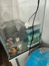 柏卡乐龟缸过滤器低水位乌龟缸吸粪吸便三合一净水循环过滤盒乌龟池专用 蓝3节-豪华套餐【培菌+去黄+除臭】 实拍图