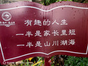 美的（Midea）电热水壶家用烧水壶 2升大容量 304不锈钢0涂层价保11.11 1800W快速加热 双层防烫MK-SH20M320 实拍图