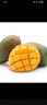 甜果源 攀枝花凯特芒果 大青皮芒果老树煌芒台应季时令礼盒新鲜水果包邮 净重3斤【单果300-400g】 实拍图