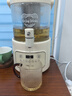 小熊（Bear）养生壶 养生桶花茶桶 水龙头烧水壶煮茶器煮茶壶 玻璃花茶壶电热水壶 3L大容量ZDH-F30F1 实拍图