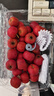 涑淇源鲜山楂山楂果大金星大五棱山楂鲜摘现发新鲜山楂 山楂2斤装大果 实拍图