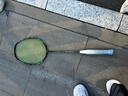 尤尼克斯（YONEX）羽毛球拍全碳素均衡经典弓箭ARC2黑绿4U5已穿25磅附手胶 实拍图
