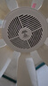 钻石牌小吊扇八叶高速电风扇蚊帐扇家用学生宿舍风扇工地小吊扇床上电风扇轻音送风电风扇吊式小电扇 实拍图
