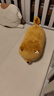 名创优品（MINISO）柴犬系列毛绒公仔趴姿玩具娃娃抱枕睡觉室内卧室办公室生日礼物 实拍图