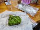 云峰海瑞 鱼缸造景真活体水草草坪水草种子鱼缸草缸造景水族箱装饰前景 迷你矮珍珠网片（7x7cm）1份 实拍图