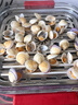大宇（DAEWOO）【万食电蒸锅】加厚高绷玻璃 多功能炖蒸煮一体蒸汽锅分体可拆洗不锈钢S31-SE-FGH 实拍图