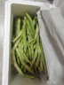 京鲜生山东新鲜白芸豆净重1.5斤装白不老新鲜蔬菜源头直发包邮 实拍图