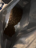 东方甄选宠物主粮鲜肉犬粮狗粮全价无豆类无谷物狗狗宠物主食营养鸡肉味 【犬主粮】 2kg*4袋 实拍图