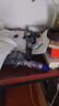 浩瀚卓越（hohem）XE kit 手机稳定器 手机云台 三轴云台稳定器 直播vlog神器 智能手持云台 1年质保 实拍图