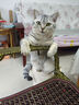 伟嘉猫粮成猫夹心粮 全价粮吞拿鱼1.3kg布偶蓝猫橘猫加菲英短猫咪 实拍图