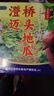 有鲜气海南澄迈馆 正宗桥头地瓜 长寿之乡珍品富硒地瓜沙地红薯源头直邮 正版9斤大果 单果4-7两（净重） 实拍图