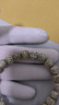 吉千年海南星月菩提手串绕指柔原生态阴皮绿皮未脱脂老型桶珠生日礼物 星月菩提10x9mm 22颗 单圈顺白 实拍图