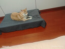 锋上 狗床狗窝行军床四季通用精钢底座狗垫子宠物窝大型犬狗超大狗床 【XL】122*71*21cm建议90斤内 实拍图