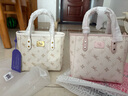 纽芝兰（NUCELLE）沈月同款飞马小托特包2025新款菜篮子手提通勤女生包包生日礼物 实拍图