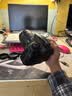 佳能/Canon 60D 70D 77D 80D 90D 半画幅 中高端单反 二手单反相机 数码相机 60D +18-55 IS套机 95成新 实拍图