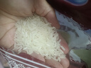 泰金香 泰国香米 大米20斤(10斤*2) 香米 长粒米  实拍图