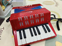 NEW CLASSIC TOYS儿童手风琴初学乐器玩具 早教音乐启蒙玩具可弹奏男女孩生日礼物 大号红色 17键8贝斯【6岁以上】 荷兰品牌 3-6岁益智玩具 春节新年礼物 实拍图
