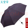 天堂伞雨伞强力拒水一甩干三折伞钢骨碰击布男女士商务伞307E碰晴雨伞 6#深紫色 实拍图
