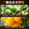华味亨陈皮梅条200g/罐 无核梅条话梅蜜饯梅子干蜜饯果干果脯休闲零食 实拍图