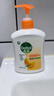 滴露（Dettol）洗手液柑橘500g瓶 健康抑菌消毒清爽 儿童家庭非补充装替换 实拍图