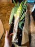 农家自种精品山东大葱特级新鲜铁杆长白葱农家毛葱香葱现挖便宜 山东大葱（带老皮）带箱 5斤 实拍图