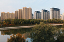 松下24-60mm F2.8全画幅微单相机标准变焦镜头（Panasonic）（S-E2460GK）L卡口 风景 肖像 特写 实拍图