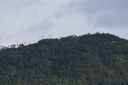 腾龙（Tamron）B061R 18-300mm F/3.5-6.3 Di III-A VC VXD防抖远摄大变焦微单镜头旅游 佳能RF口 实拍图
