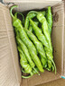 新鲜现摘薄皮螺丝椒微辣中辣香辣入味辣椒炒肉陇椒辣椒青椒 带箱3斤 实拍图