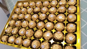 费列罗（Ferrero Rocher）巧克力礼盒装情人节61六一儿童节女神节礼物送员工生日公司团购 金色48粒礼盒装 实拍图
