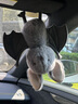 Jellycat【新版】英国Jellycat Broox布鲁可斯蝙蝠搞怪毛绒玩具万圣节玩偶 布鲁可斯蝙蝠22cm 送官方防尘袋 实拍图