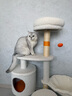 ZEZE花开游乐园猫爬架猫窝抓柱一体不占地跳台观景台大猫多猫可用 花开游乐园爬架 85*60*137cm 通用 实拍图