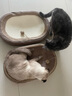 喵丽丝剑麻猫抓板猫窝一体耐磨不掉屑猫咪玩具猫爪板耐抓四季通用抓盆 加强型剑麻+剑麻垫【61cm】 实拍图