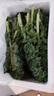 羽衣甘蓝新鲜生鲜蔬菜嫩叶甘兰芥蓝西餐沙拉榨汁减肥减脂 羽衣甘蓝闺蜜2斤装 实拍图