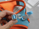 獒少保【可调松紧】猫绳猫链猫咪牵引绳防挣脱遛猫绳背心式溜猫绳子猫链 蓝橙双拼 S码 建议9-13斤内 实拍图