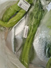 【24小时菜】大芹菜约400g 实拍图