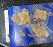 倾海之宴 淡干干贝250g 瑶柱干贝柱扇贝丁扇贝干 海鲜特产海产干货食材 实拍图