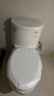 科勒（KOHLER）五级旋风连体抽水马桶坐便器喷射虹吸式大冲力305坑距5171T-SE-0 实拍图